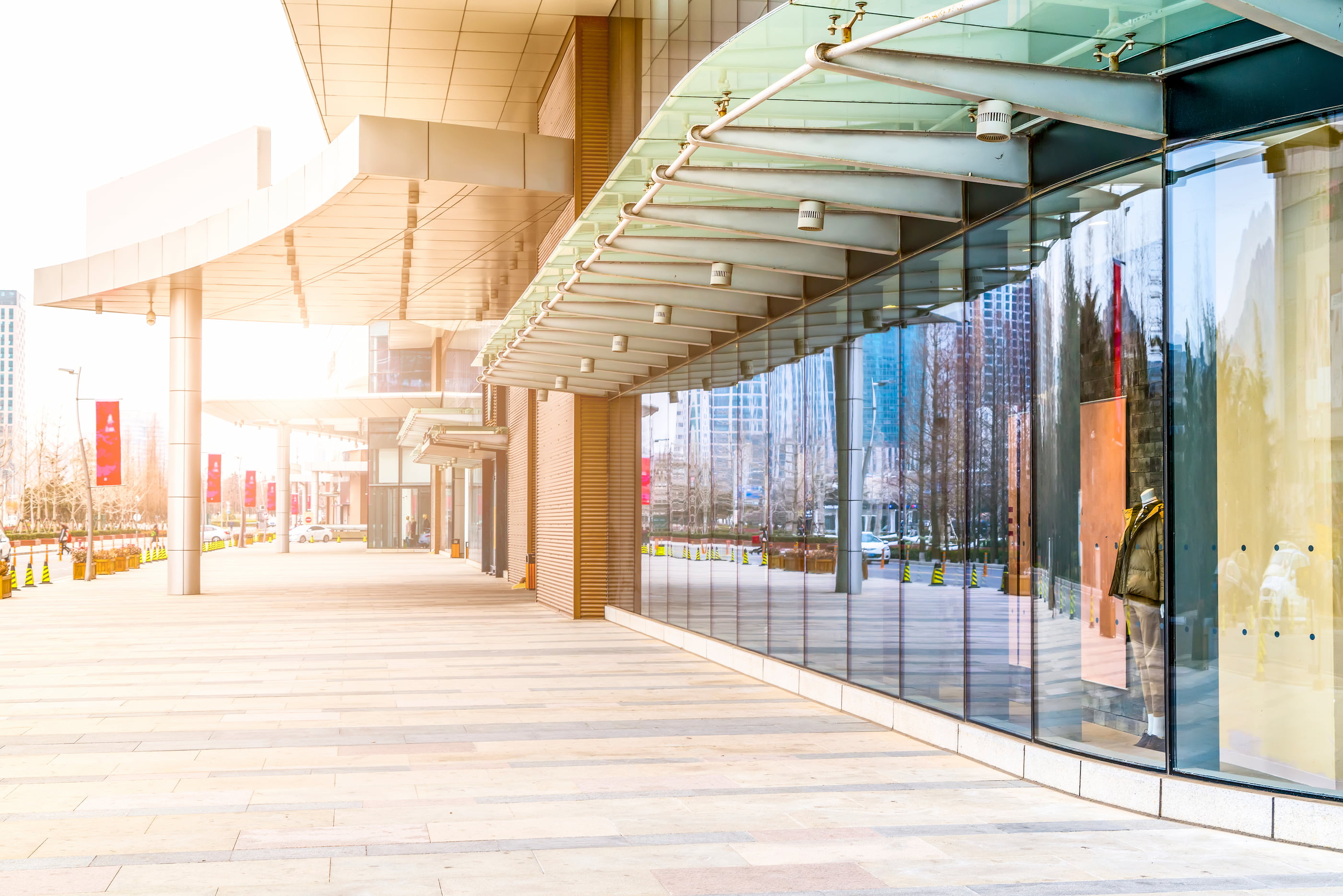 Introduction slide #3